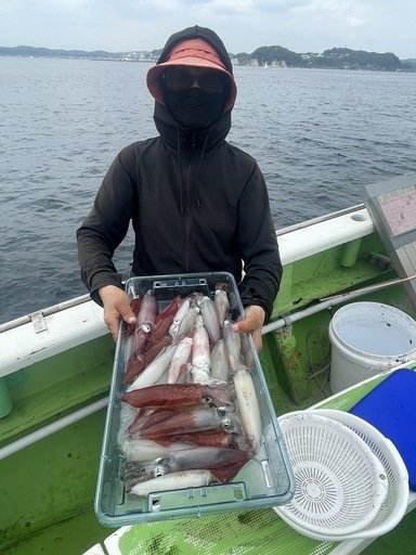 マルイカ(ケンサキイカ)