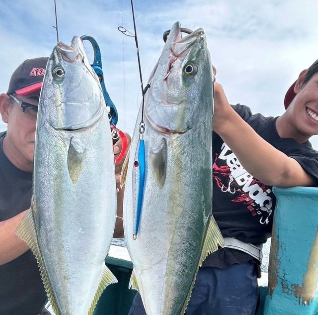 サンパク(ブリ)