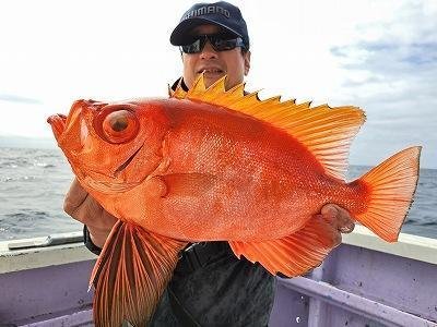 キントキ(チカメキントキ)