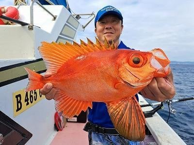 キントキ(チカメキントキ)