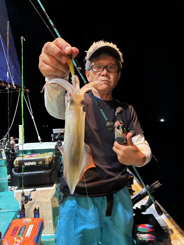 アカイカ(ケンサキイカ)