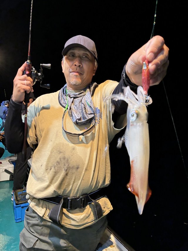 アカイカ(ケンサキイカ)