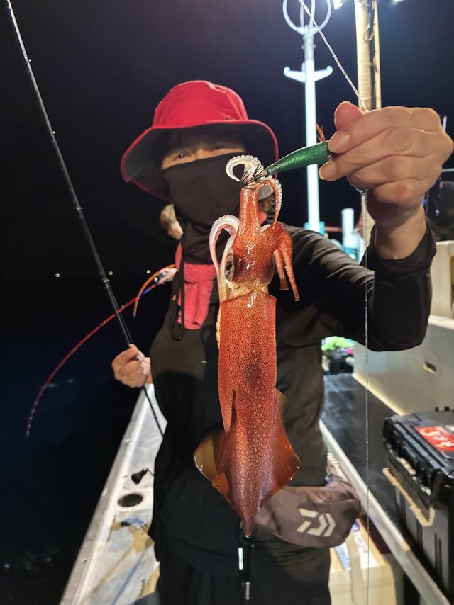 アカイカ(ケンサキイカ)