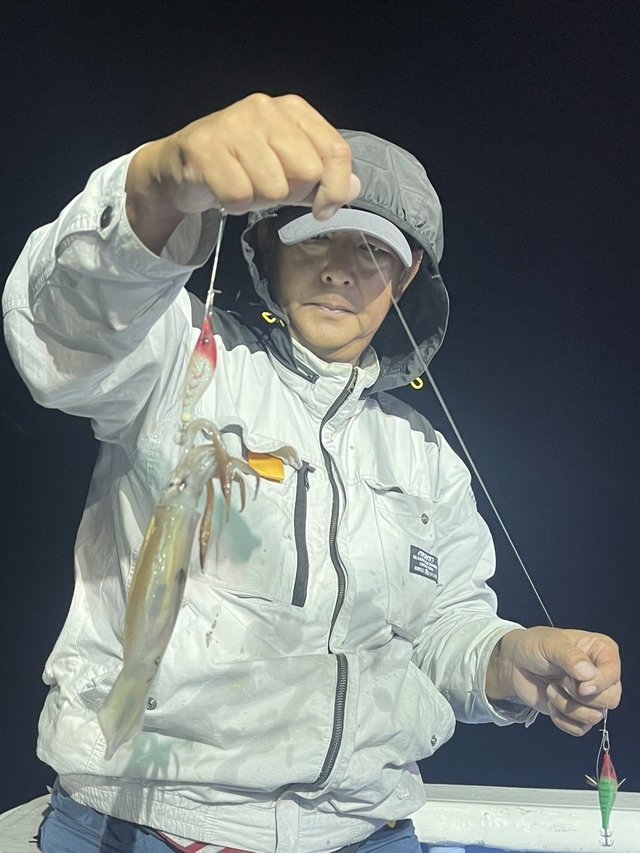 マルイカ(ケンサキイカ)