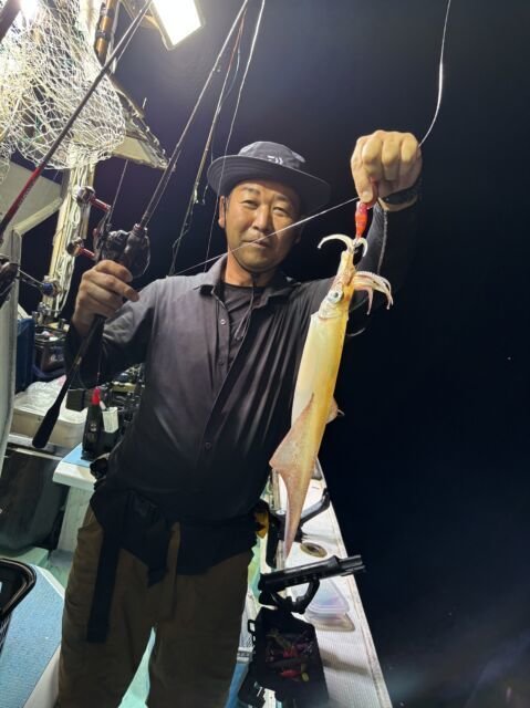 マイカ(ケンサキイカ)