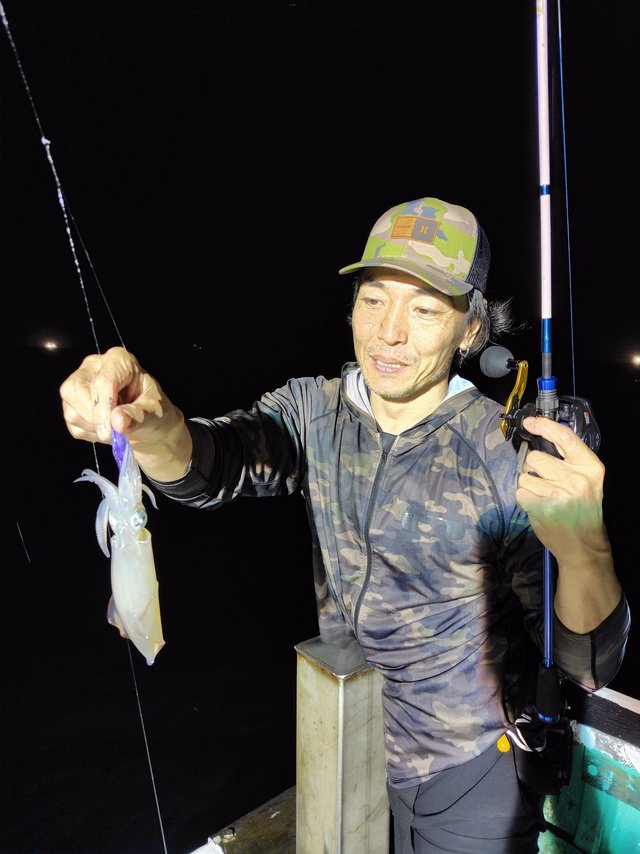 シロイカ(ケンサキイカ)