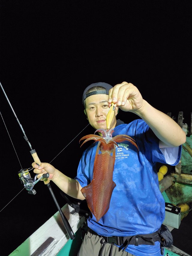 シロイカ(ケンサキイカ)