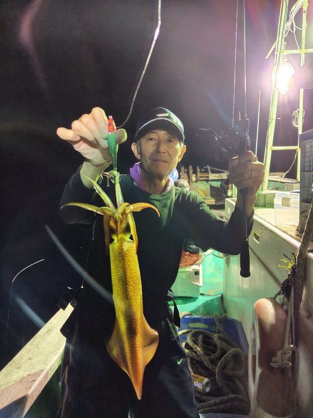 シロイカ(ケンサキイカ)