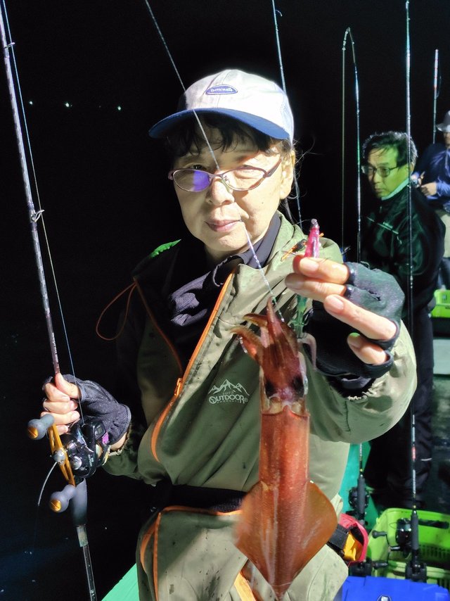 シロイカ(ケンサキイカ)