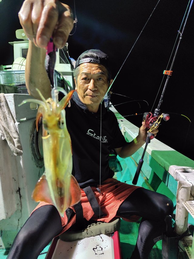 シロイカ(ケンサキイカ)