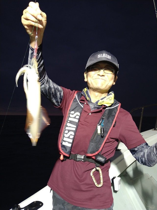 イカ(ケンサキイカ)