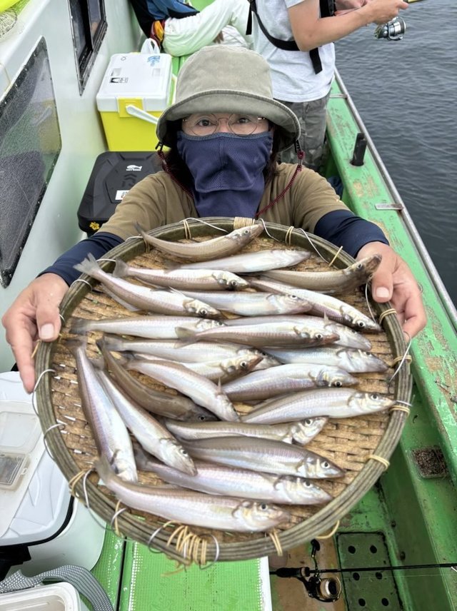 キス(シロギス)