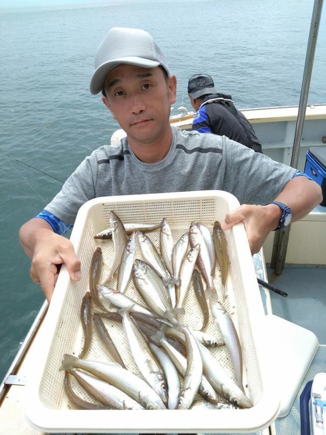 シロキス(シロギス)