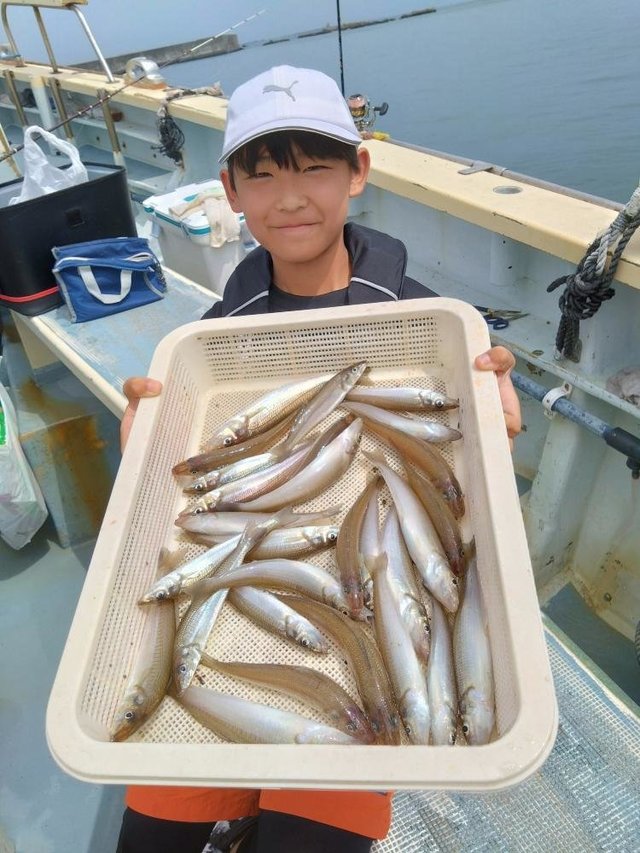 シロキス(シロギス)