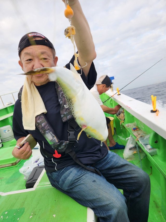 ショウサイフグ