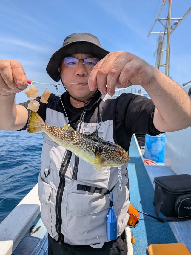 ショウサイフグ