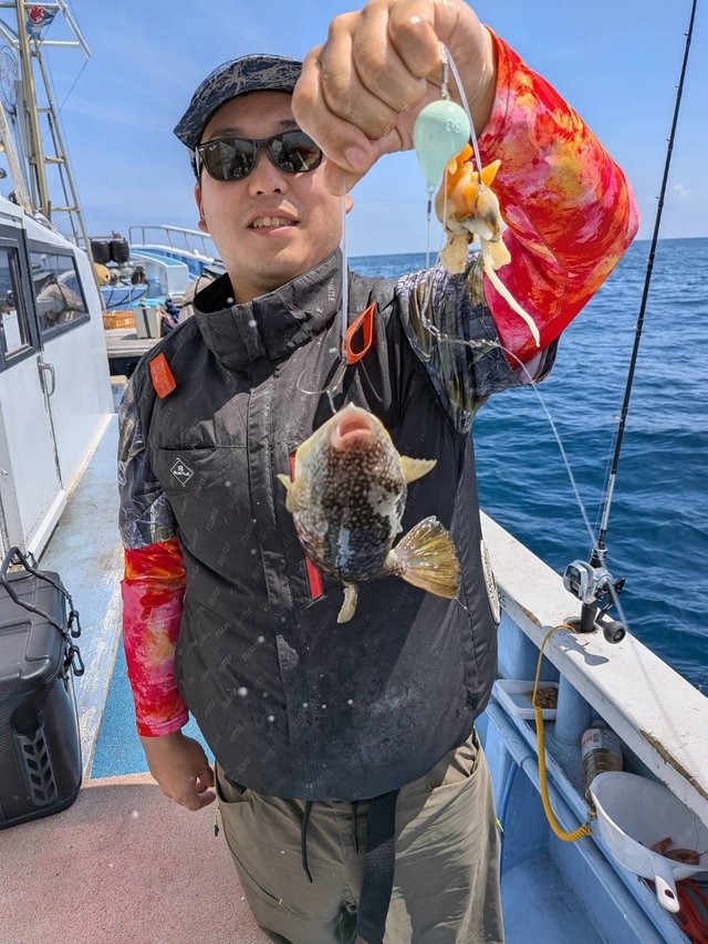 ショウサイフグ