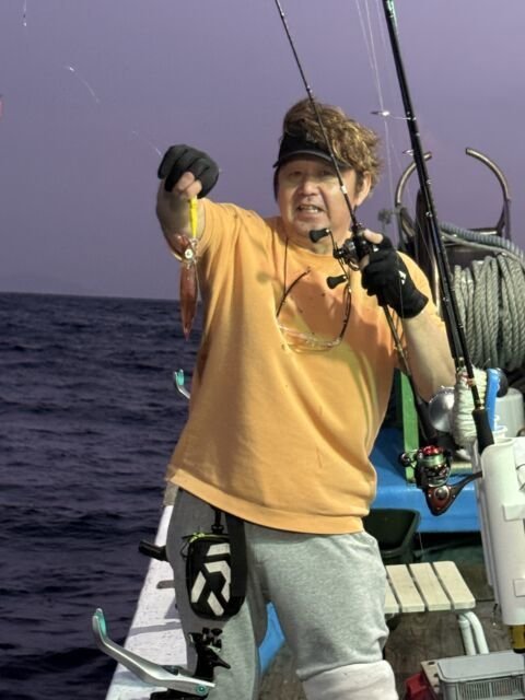 マイカ(ケンサキイカ)