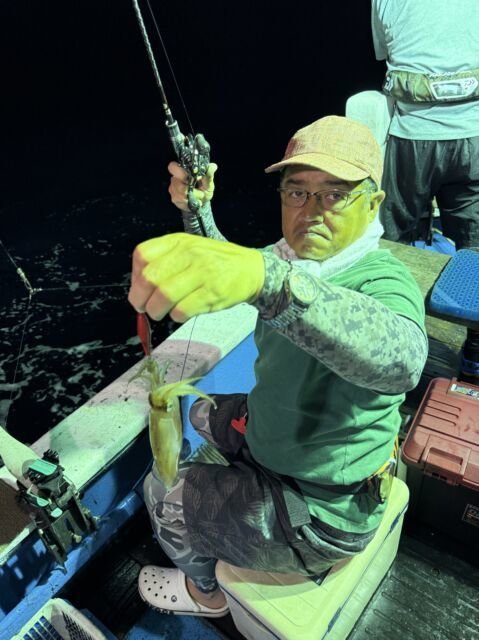 マイカ(ケンサキイカ)