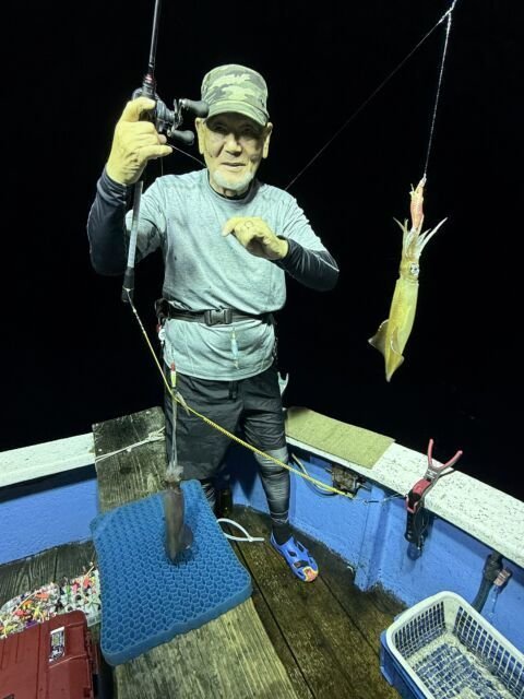 マイカ(ケンサキイカ)