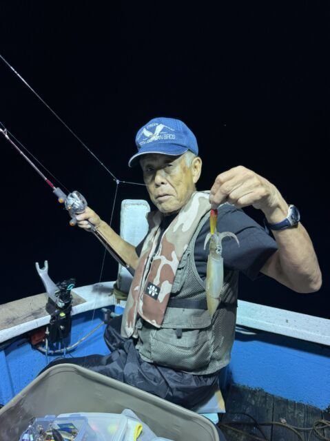 マイカ(ケンサキイカ)