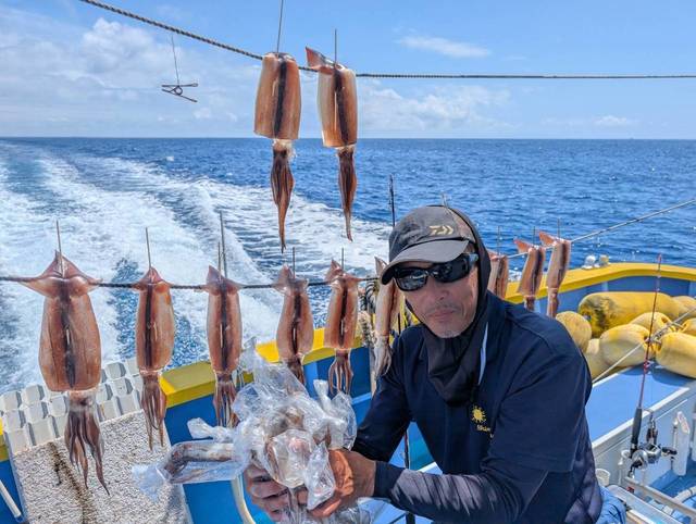 スルメ(スルメイカ)