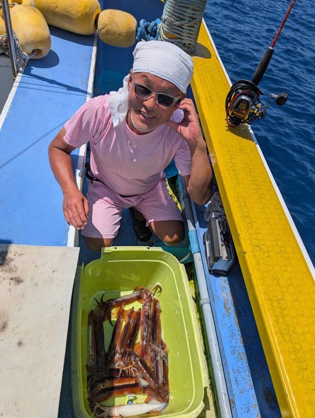 スルメ(スルメイカ)