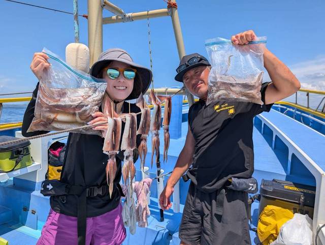 スルメ(スルメイカ)