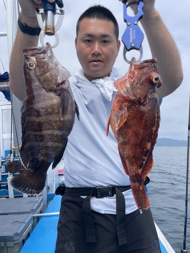 マハタ・カサゴ