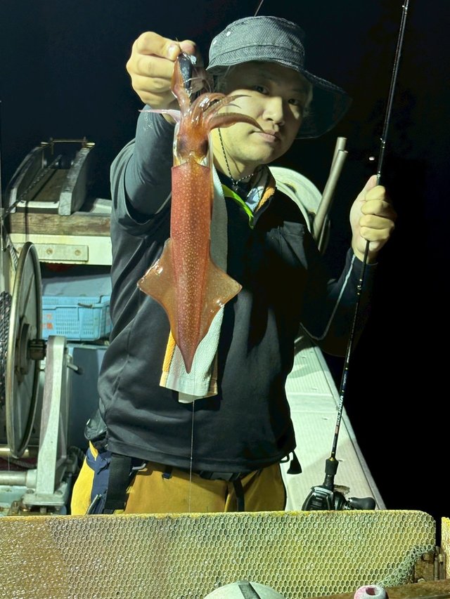 マイカ(ケンサキイカ)