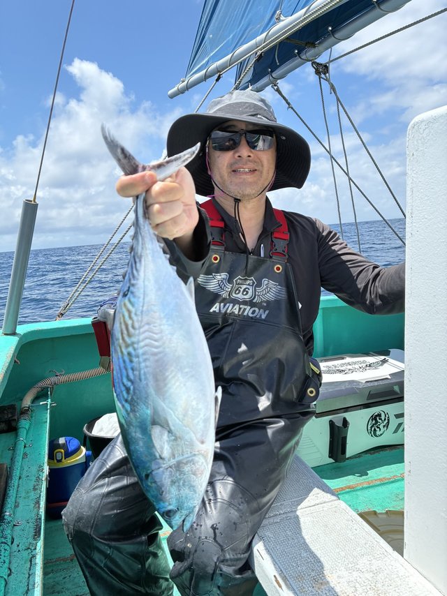 スマガツオ(スマ)