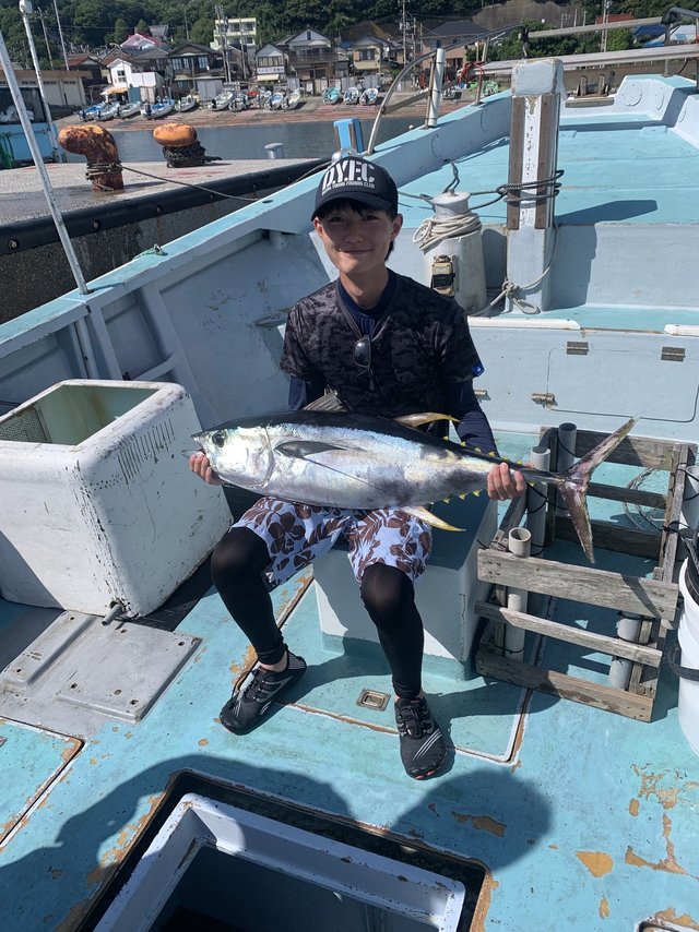 キハダマグロ(キハダ)