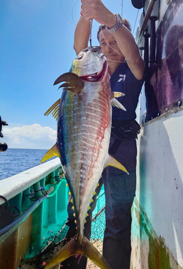 キメジ(キハダ)