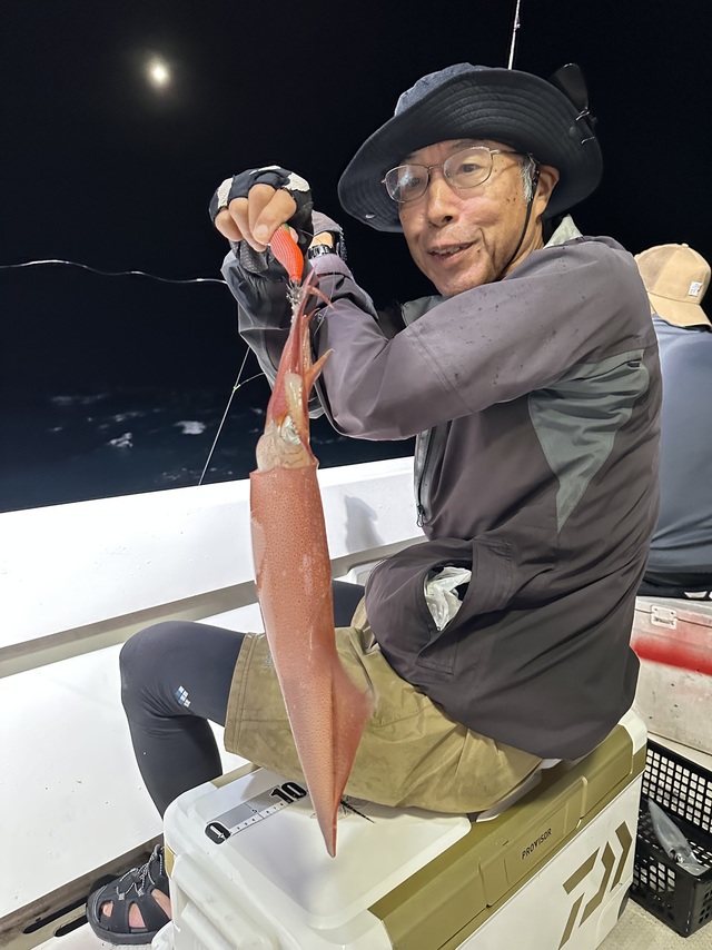 イカ(ヤリイカ)