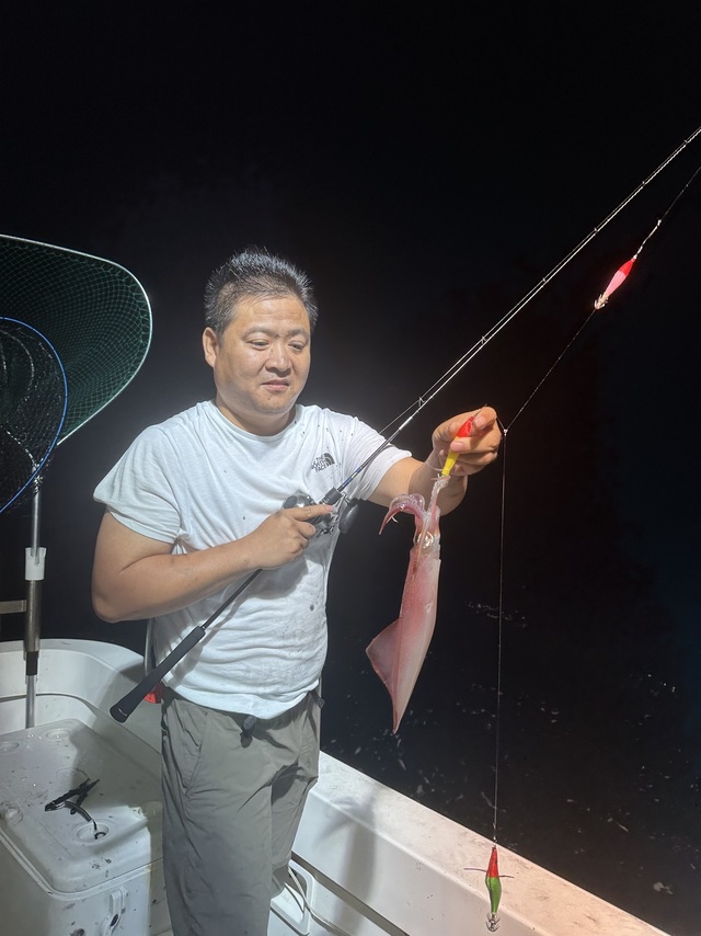 イカ(ヤリイカ)