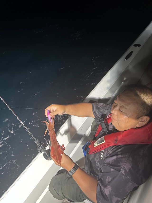 イカ(ヤリイカ)