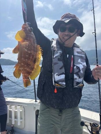 アコウ(キジハタ)