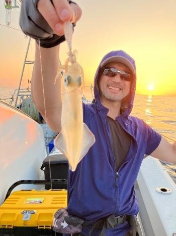 マイカ(ケンサキイカ)