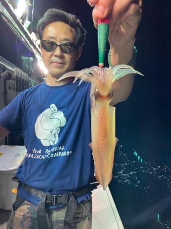 マイカ(ケンサキイカ)