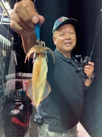 マイカ(ケンサキイカ)