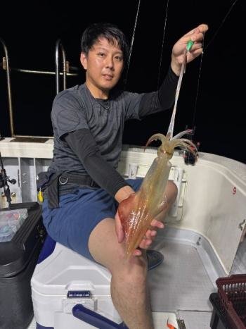 マイカ(ケンサキイカ)