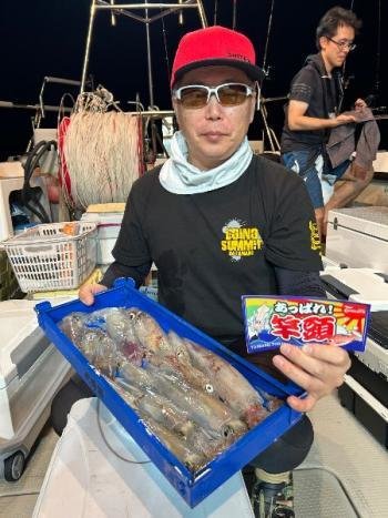 マイカ(ケンサキイカ)