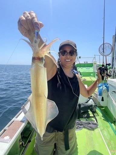 マルイカ(ケンサキイカ)