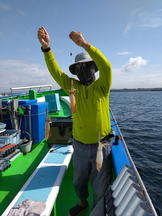 マルイカ(ケンサキイカ)