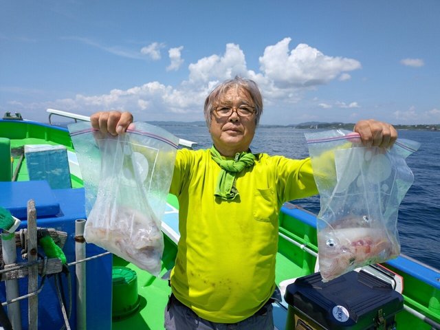 マルイカ(ケンサキイカ)