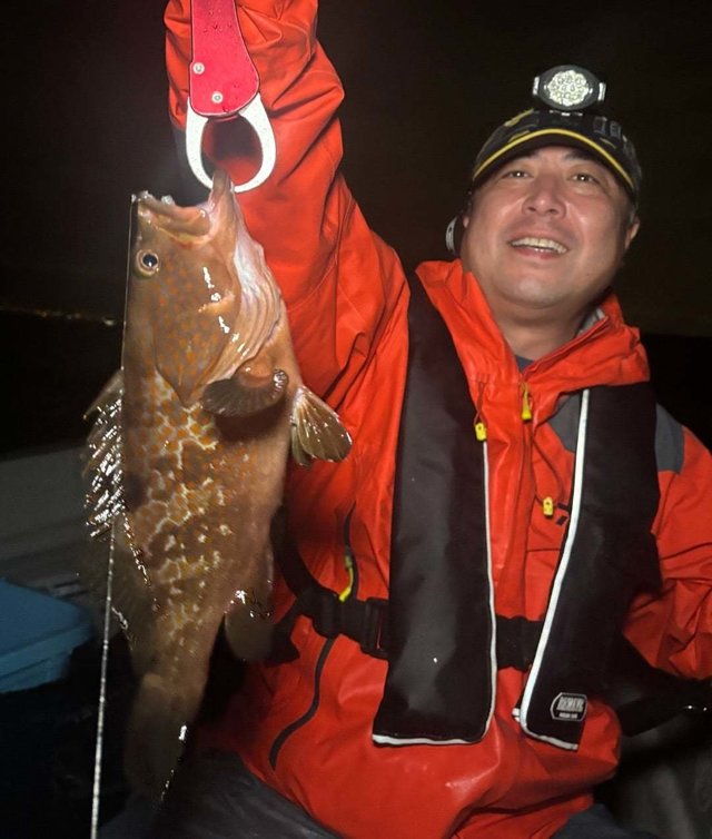 アコウ(キジハタ)