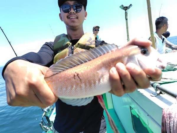 イトヨリ(イトヨリダイ)