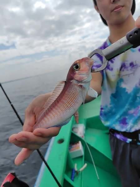 イトヨリ(イトヨリダイ)