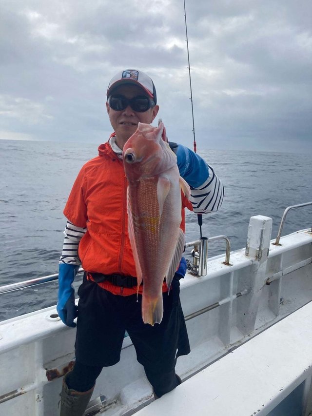 アマダイ(アカアマダイ)