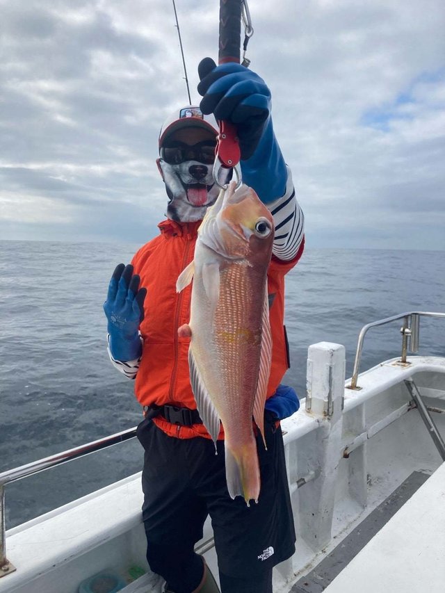 アマダイ(アカアマダイ)